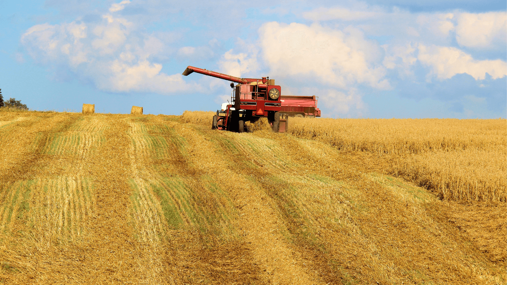 farming-in-a-field