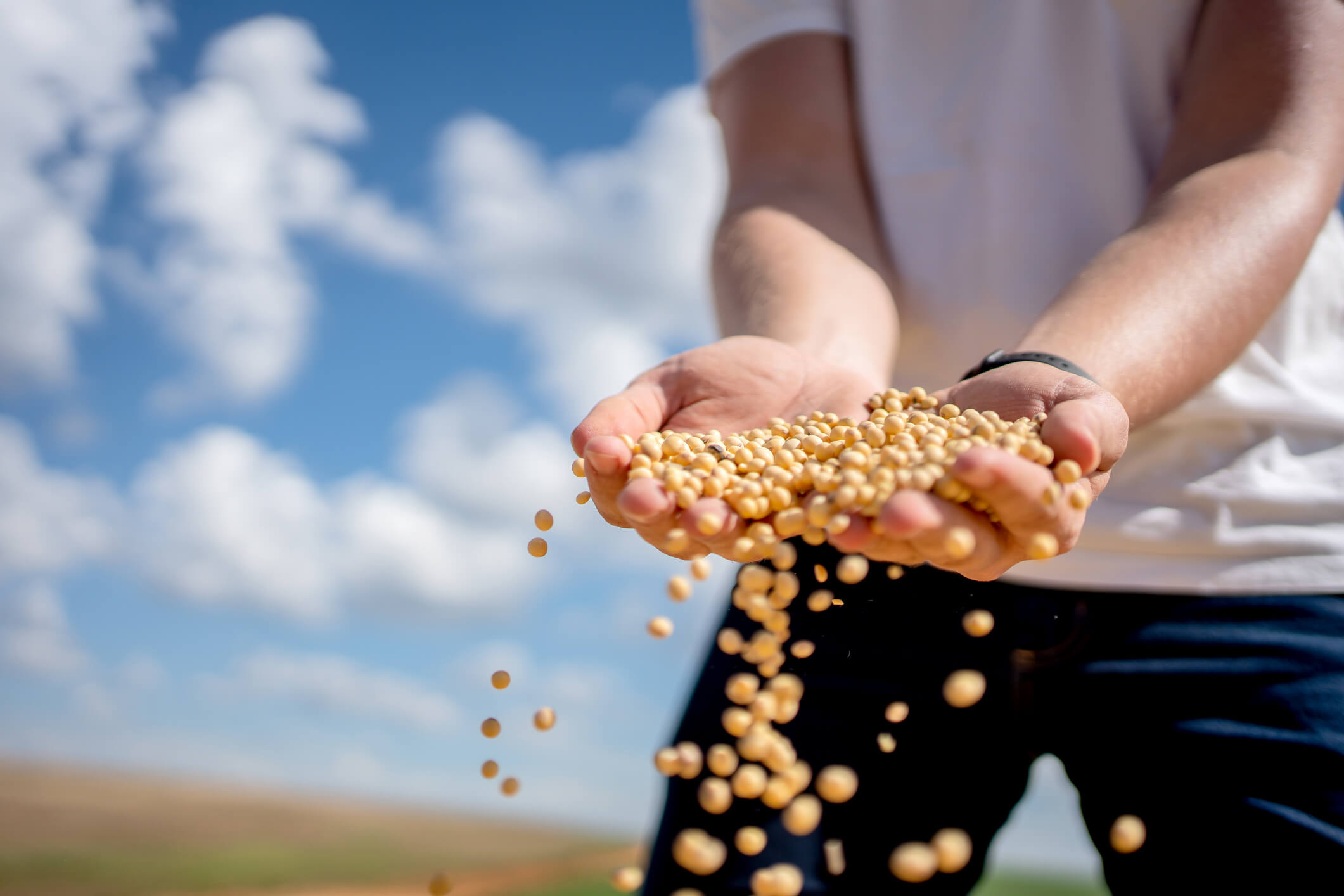 Farmer's hand with seasonal ingredient sourcing ingredients